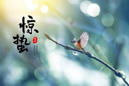 惊蛰历史图片