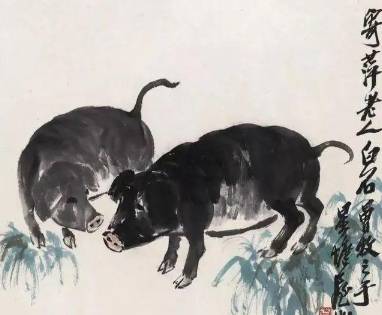 猪历史图片