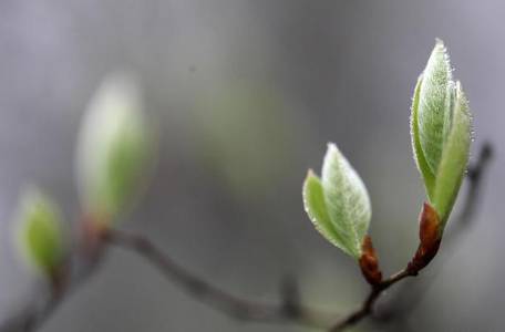 雨水历史图片