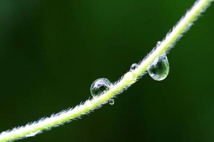 雨水历史图片