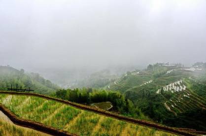 春雨历史图片
