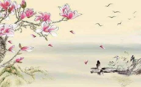 白朴历史图片