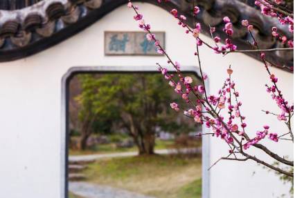 陆游历史图片