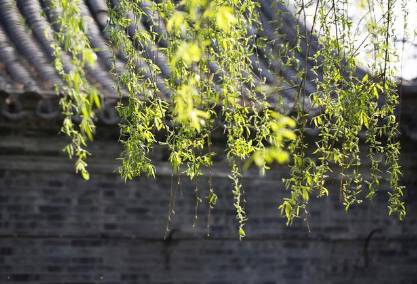 李商隐历史图片