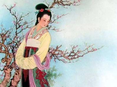 梅花历史图片