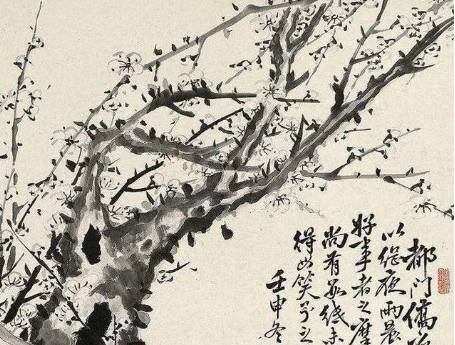 梅花历史图片