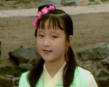 袭人历史图片