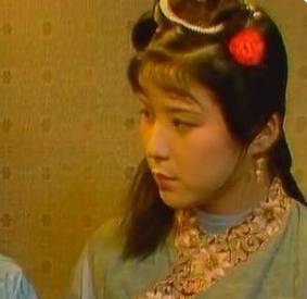 袭人历史图片