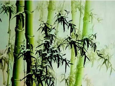 白居易历史图片