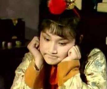 袭人历史图片