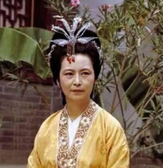 王夫人历史图片