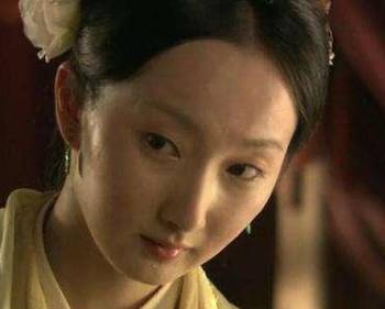 袭人历史图片