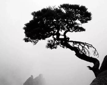 李绅历史图片