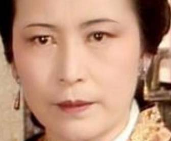 王夫人历史图片