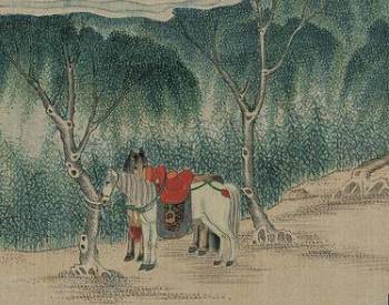 贾母历史图片