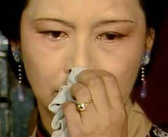 王夫人历史图片