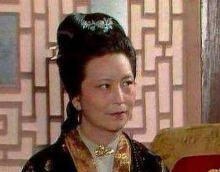 王夫人历史图片