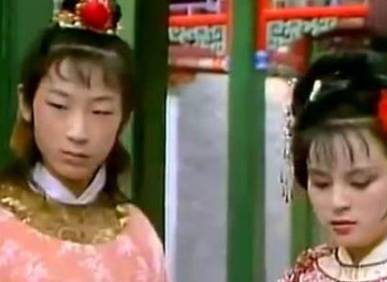 贾环历史图片