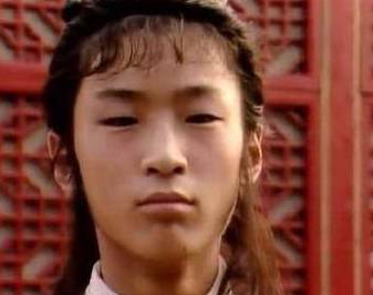 贾环历史图片