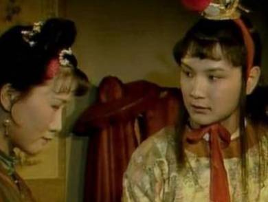 袭人历史图片
