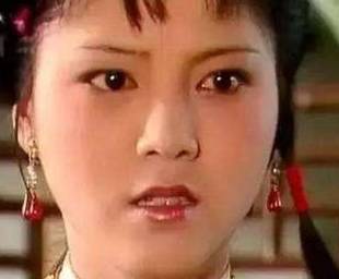 袭人历史图片