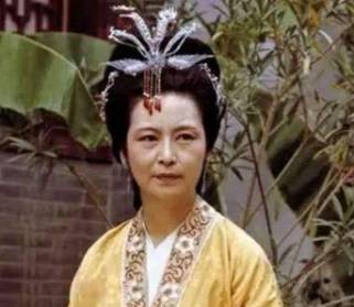 王夫人历史图片