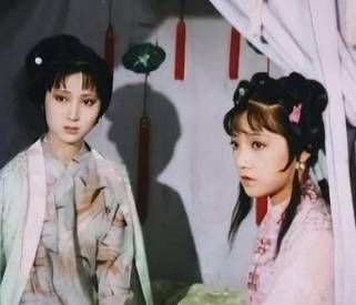 紫鹃历史图片