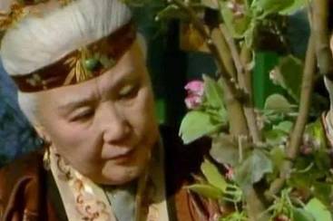 贾元春历史图片
