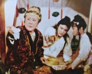 紫鹃历史图片