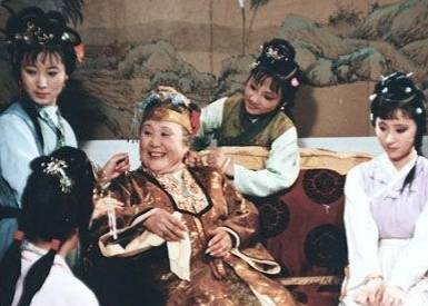 紫鹃历史图片