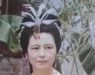 王夫人历史图片