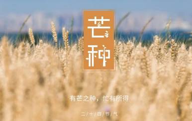 芒种历史图片