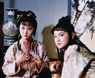 袭人历史图片
