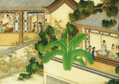 红楼梦历史图片