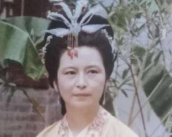 王夫人历史图片