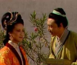 贾芸历史图片