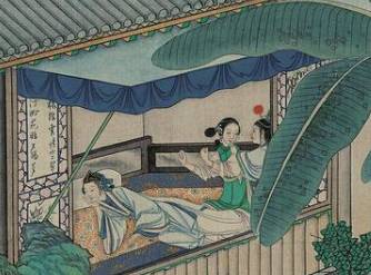 袭人历史图片