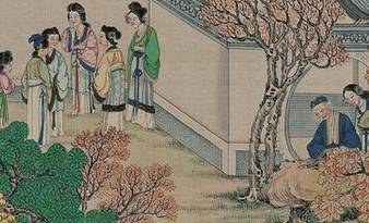 红楼梦历史图片