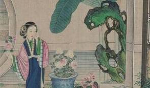 红楼梦历史图片