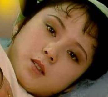 袭人历史图片