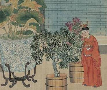 袭人历史图片