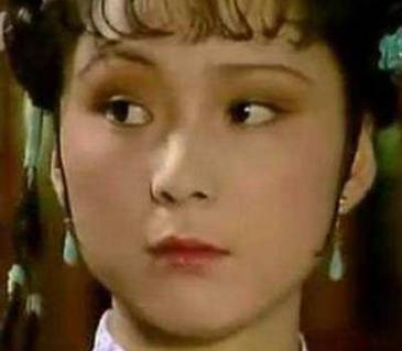 袭人历史图片
