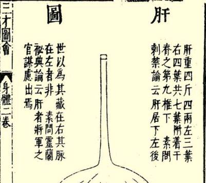 本草纲目·第一卷·序列·脏腑虚实标本用药式具体内容是什么?历史图片