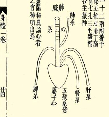 本草纲目·第一卷·序列·脏腑虚实标本用药式具体内容是什么?历史图片
