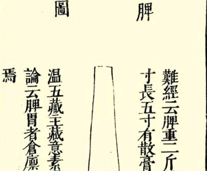 本草纲目·第一卷·序列·脏腑虚实标本用药式具体内容是什么?历史图片