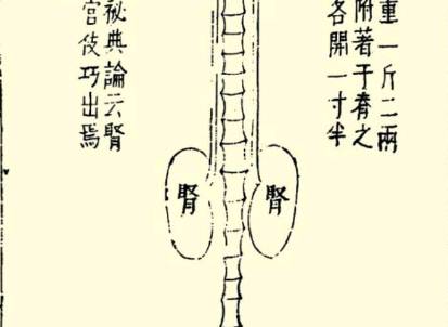 本草纲目·第一卷·序列·脏腑虚实标本用药式具体内容是什么?历史图片