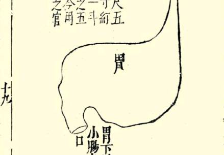 本草纲目·第一卷·序列·脏腑虚实标本用药式具体内容是什么?历史图片