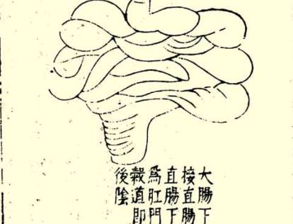 本草纲目·第一卷·序列·脏腑虚实标本用药式具体内容是什么?历史图片