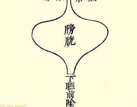 本草纲目·第一卷·序列·脏腑虚实标本用药式具体内容是什么?历史图片