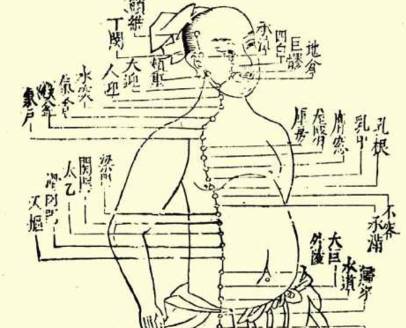 本草纲目·第二卷·序列·相须相使相畏相恶诸药原文是什么内容？历史图片
